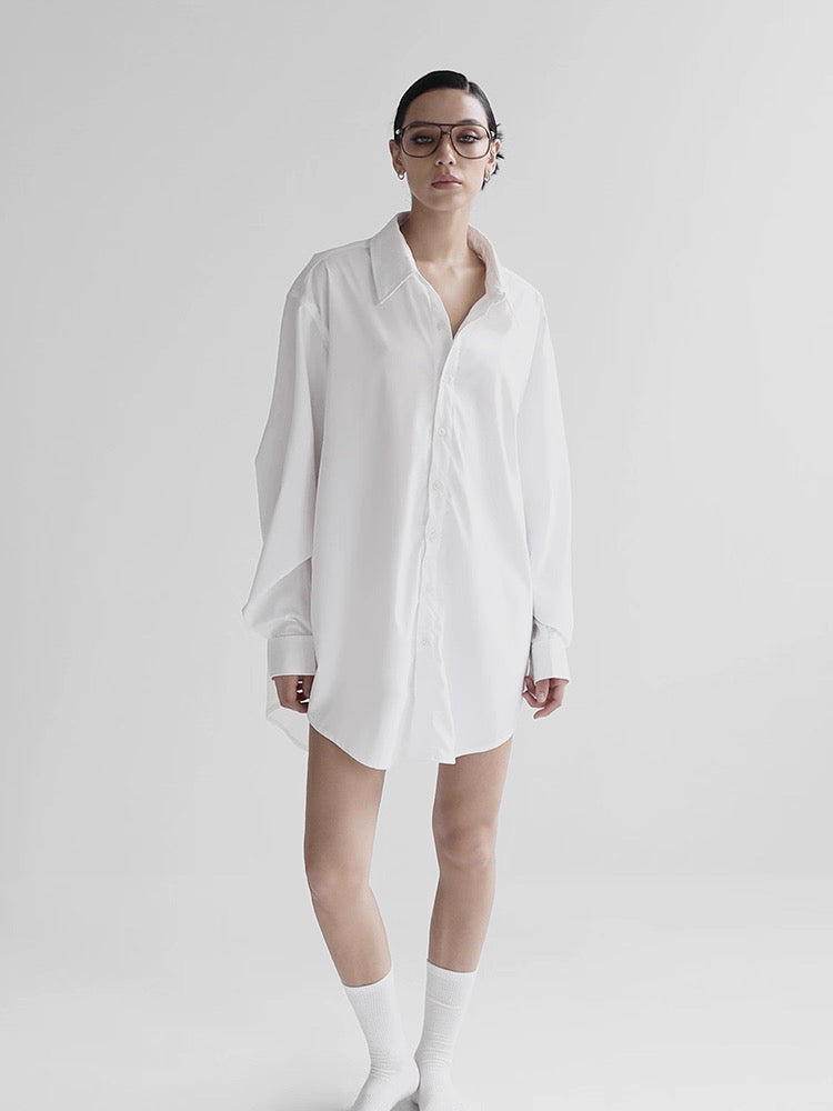 Oversized Sheer Long Sleeve Shirt